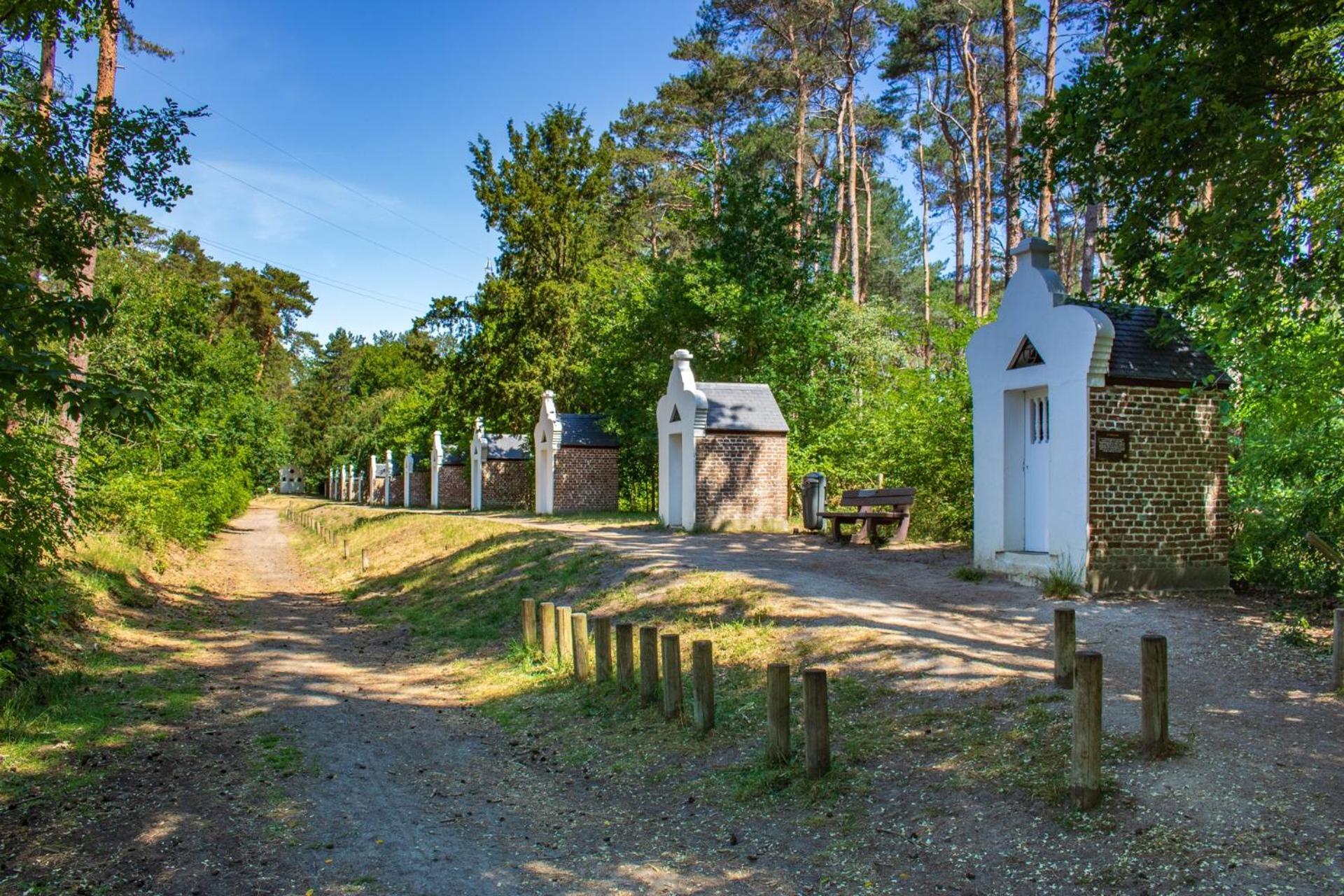 Bed and Breakfast De Wilden Ezel Мол Экстерьер фото